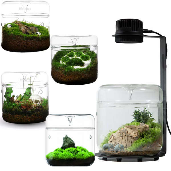 Bioloark Dew Glass Cup MY-180H
