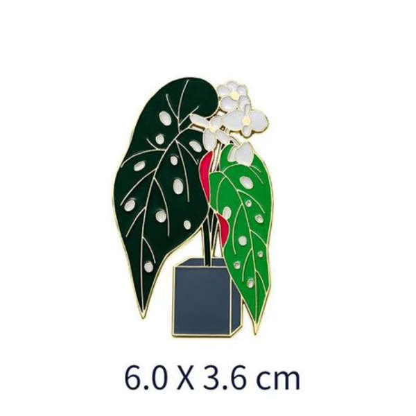 Queen Anthurium &amp; Hardy Begonia Magnet Set with Floating Display Frames