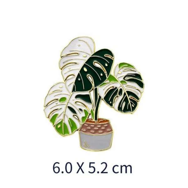 Anthurium &amp; Monstera Plant Magnet Set with Floating Display Frames