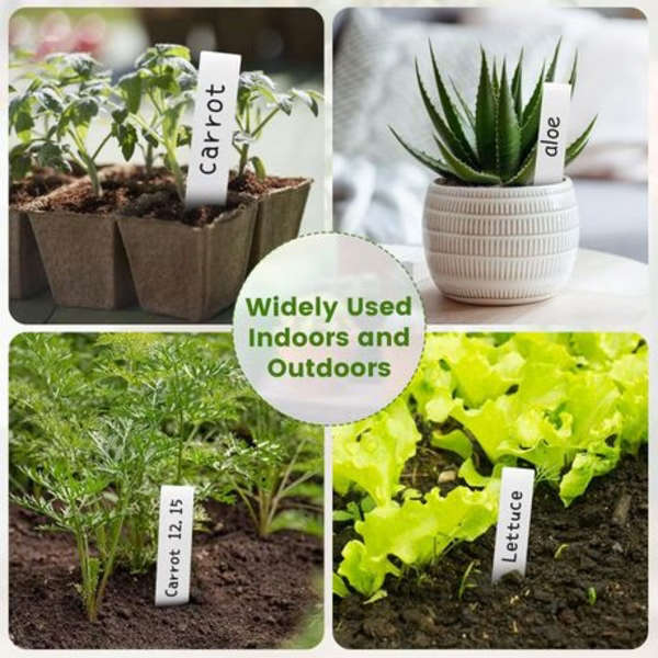 600 Pieces Plastic Plant Labels (10cm x 2cm)