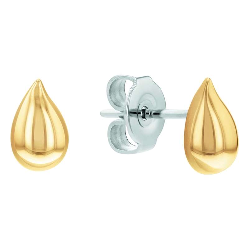 Calvin Klein Jewels Women's Earrings (1681336)