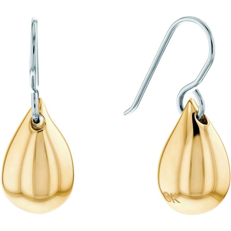 Calvin Klein Jewels Women's Earrings (1681338)