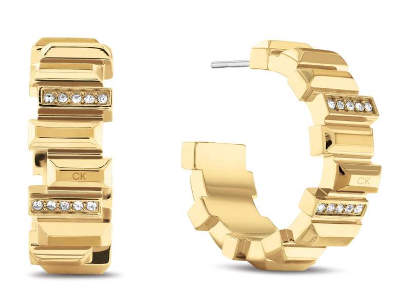 Calvin Klein Jewels Women's Earrings (35000238)