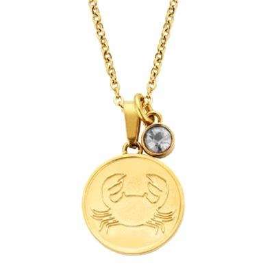 Co88 Jewels Women's Necklace (8cn-26079) - zodiac starsigns Collection