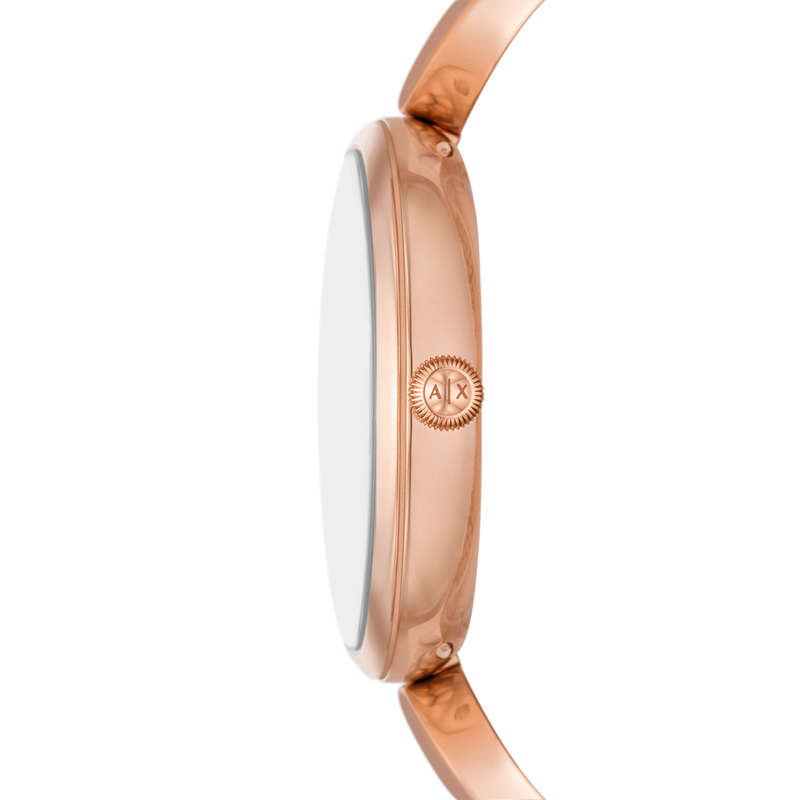 A|X ARMANI EXCHANGE WATCHES AX5384 (AX5384)