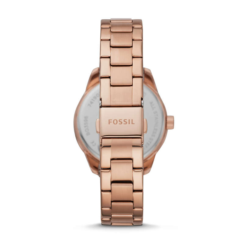 Fossil Dayle Womens Watch (BQ3596)
