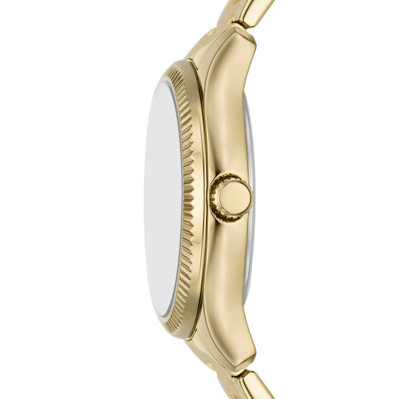 Fossil Rye Womens Watch (BQ3961)