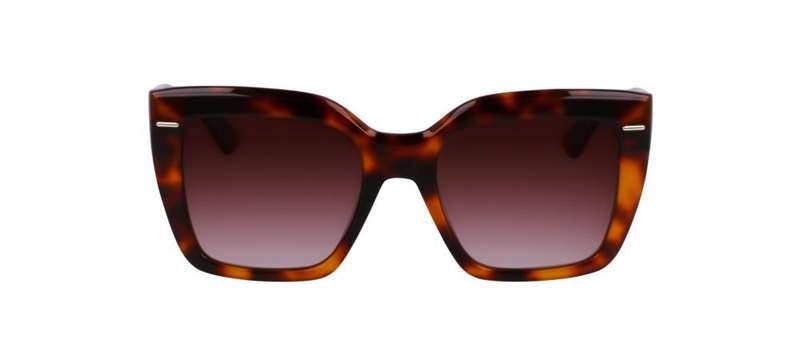 CALVIN KLEIN CK23508S (CK23508S_220 B_54)