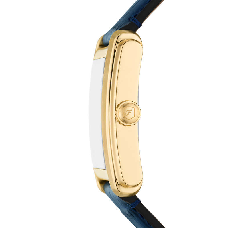 Fossil Carraway Mens Watch (FS6076)