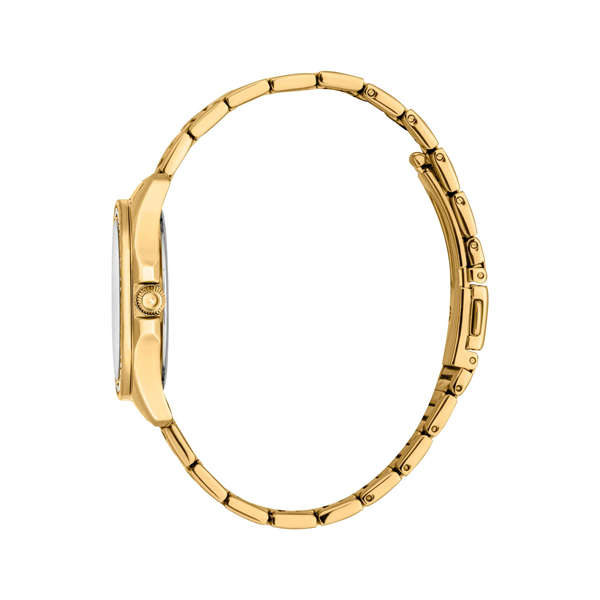 JUST CAVALLI TIME JC1L263M0055 (JC1L263M0055)
