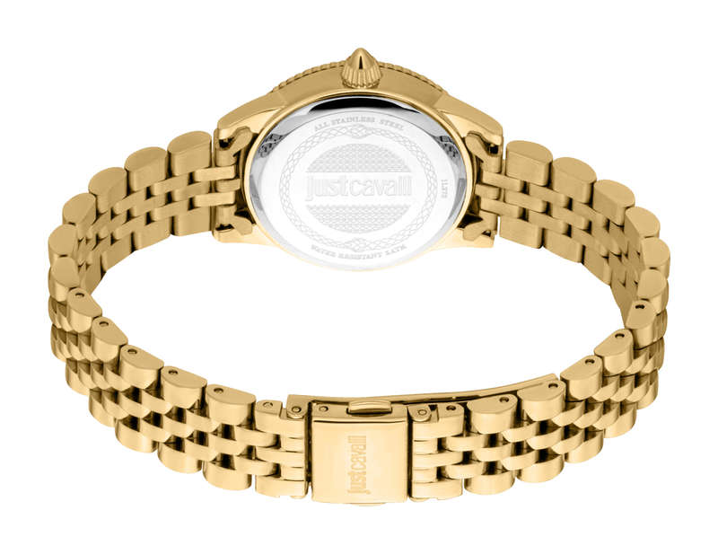 JUST CAVALLI JC1L275M0045 (JC1L275M0045)