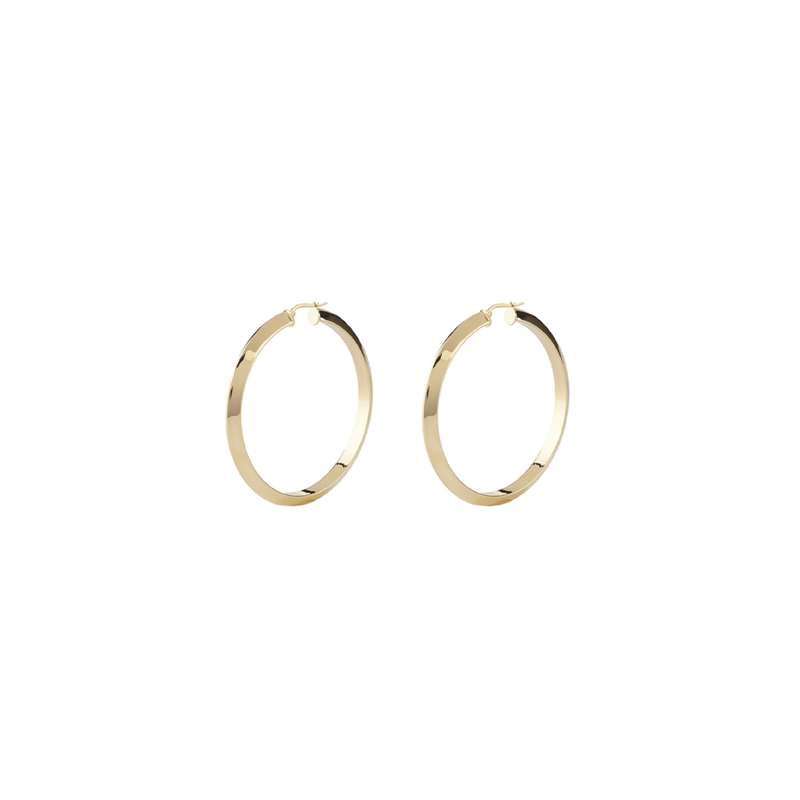 Guess Jewels Women's Earrings (JUBE04193JWYGT-U)