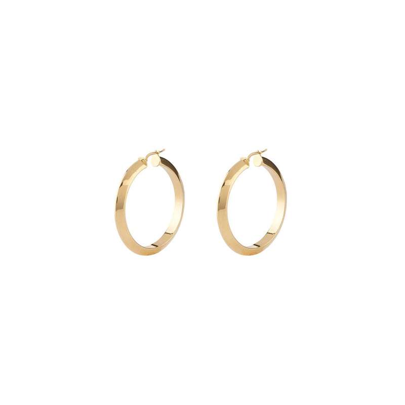 Guess Jewels Women's Earrings (jube04194jwygt-u)
