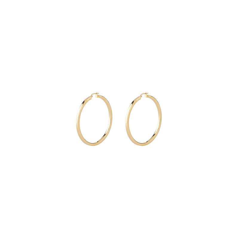 Guess Jewels Women's Earrings (JUBE04199JWYGT-U)