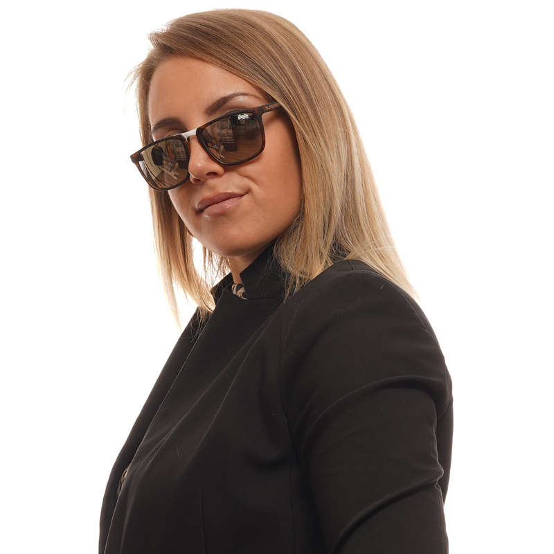 SUPERDRY SUNGLASSES SDS Aftershock 54102 (SDS Aftershock 54102)