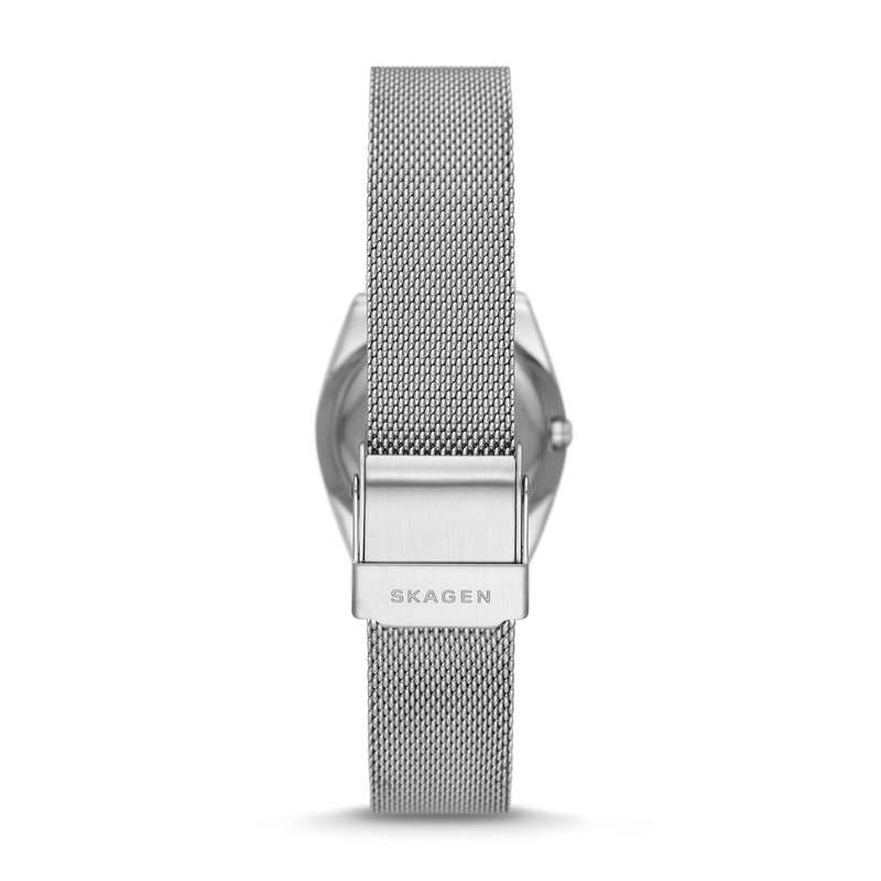 SKAGEN DENMARK WATCHES SKW3038 (SKW3038)