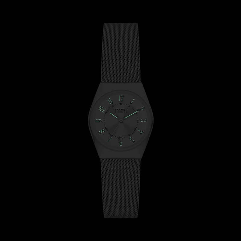 SKAGEN DENMARK WATCHES SKW3038 (SKW3038)