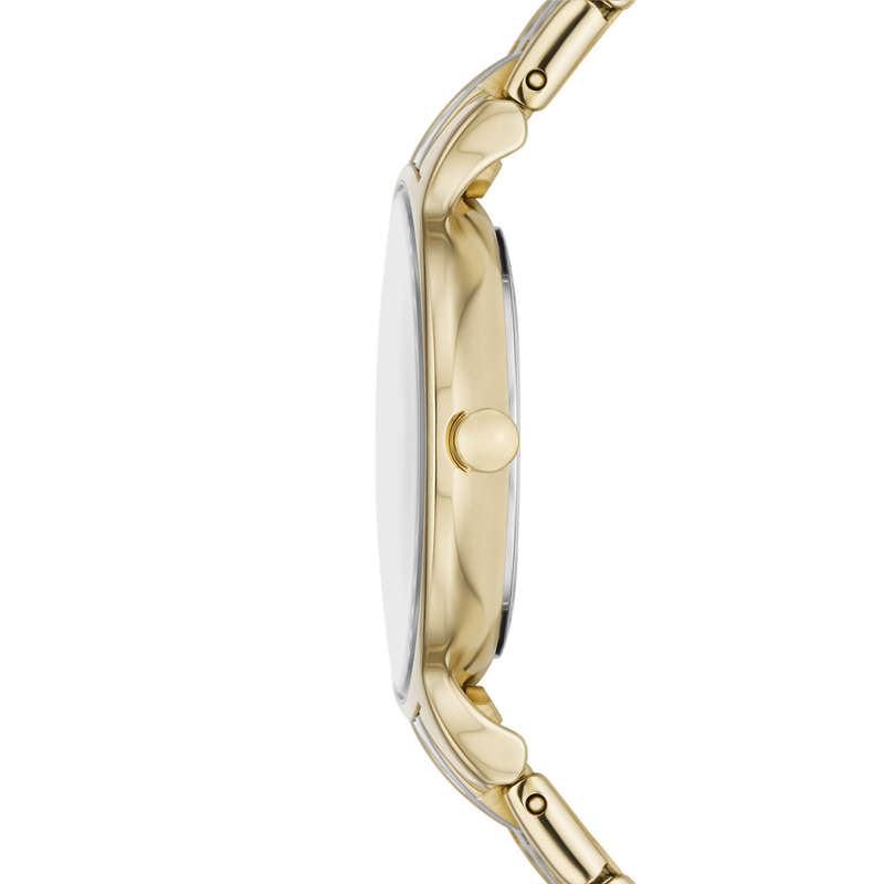 SKAGEN DENMARK WATCHES SKW3132 (SKW3132)