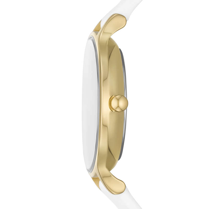 SKAGEN DENMARK WATCHES SKW3138 (SKW3138)