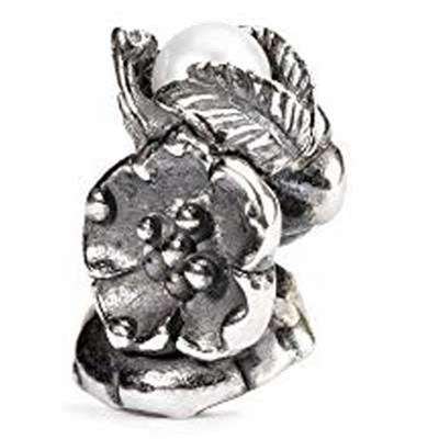 TROLLBEADS TAGBE-00031 (TAGBE-00031)