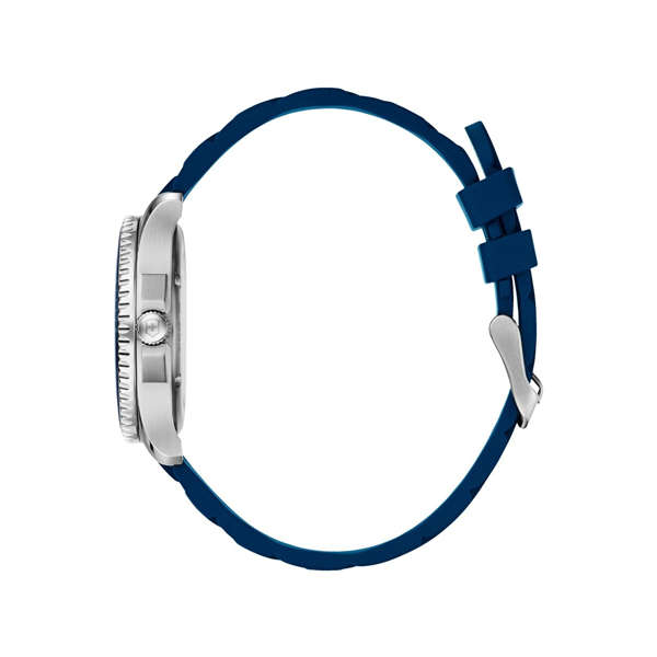 Victorinox Men's Watch (V241610)
