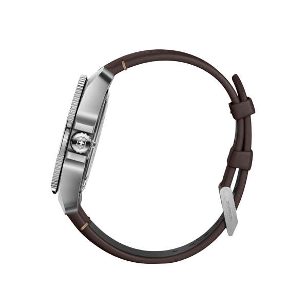 Victorinox Men's Watch (V241976-1)