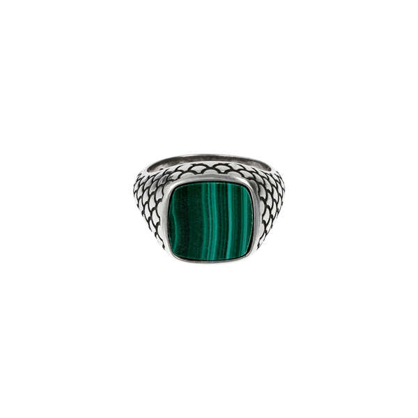 Albert M. Jewels Men's Ring (WSOX00075-MLC-24)