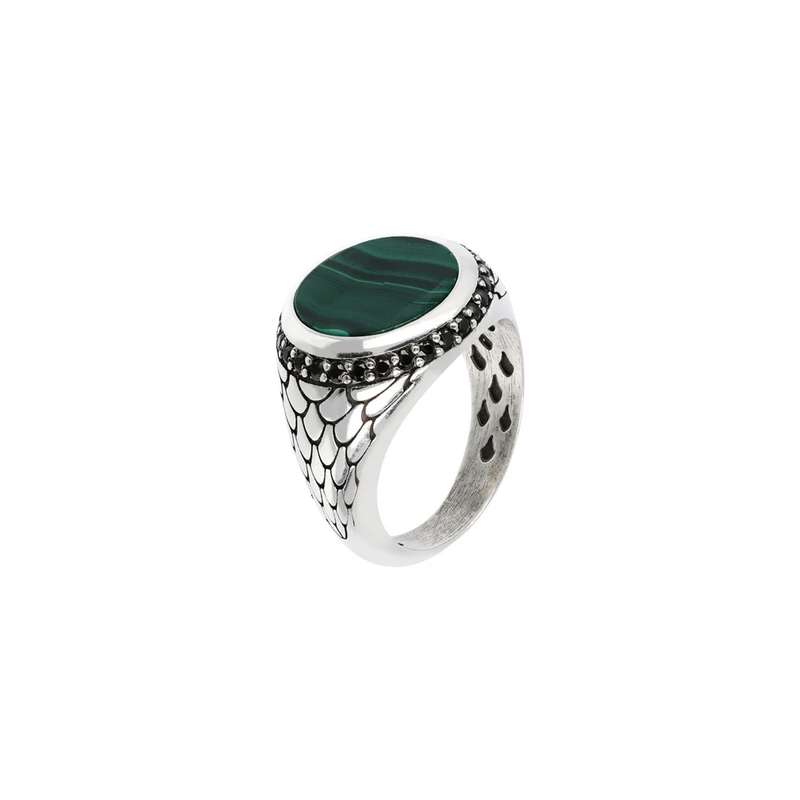 Albert M. Jewels Men's Ring (WSOX00076-MLC-22)