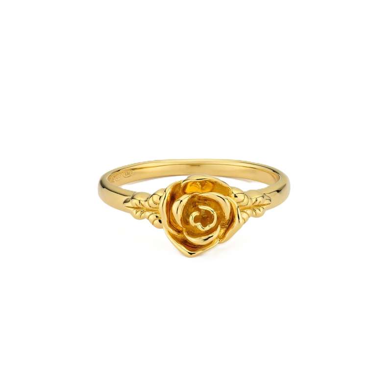 24KAE Jewels Women's Ring (124135Y_54)