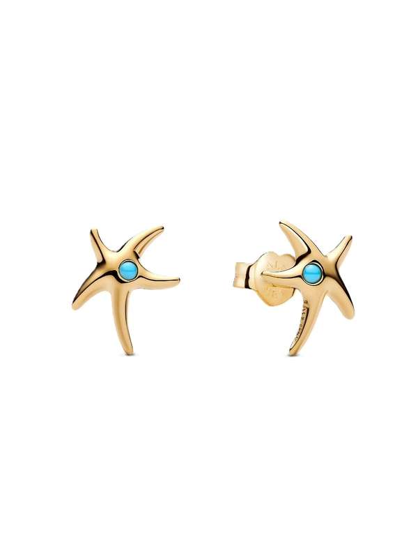 Pandora Women's Earrings (263820C01)