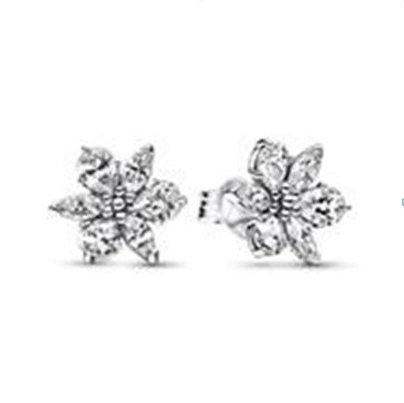 Pandora Women's Earrings (292633C01)