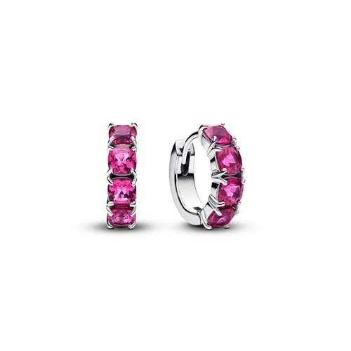 Pandora Women's Earrings (293851C02)