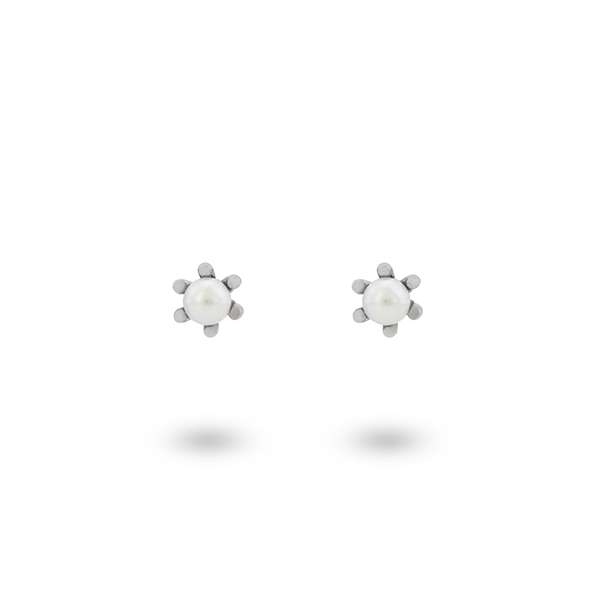 24KAE Jewels Women's Earrings (42420S)