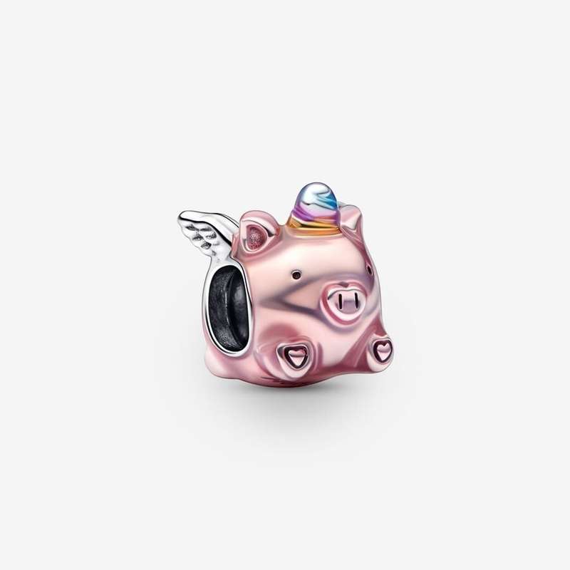 Pandora Women's Charm Link (792573C01)
