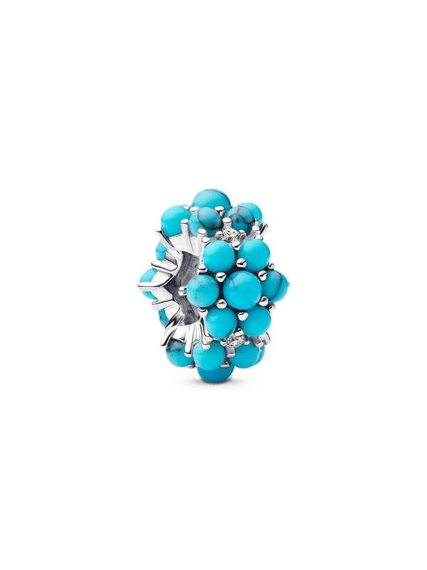 Pandora Women's Charm Link (793897C02)