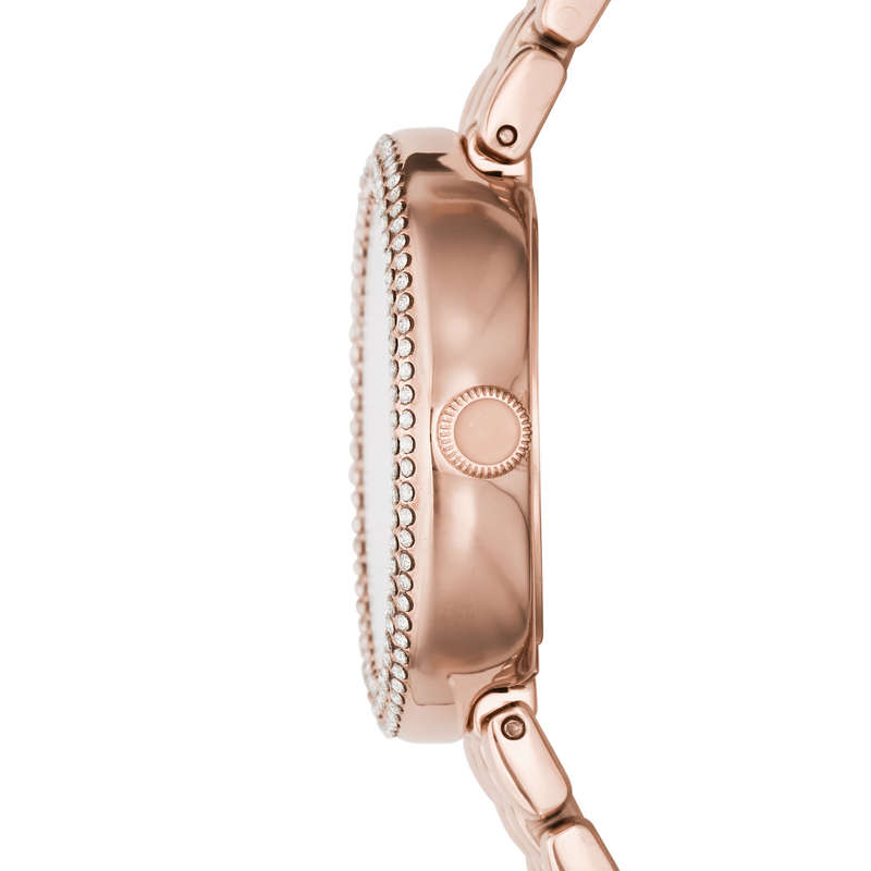 Emporio Armani Women's Watch (ar11355)
