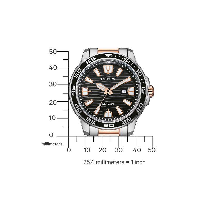 Citizen Mens Watch (AW1524-84E)