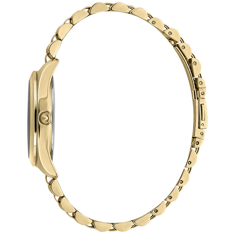 Just Cavalli Ladies Watch (JC1L210M0155)