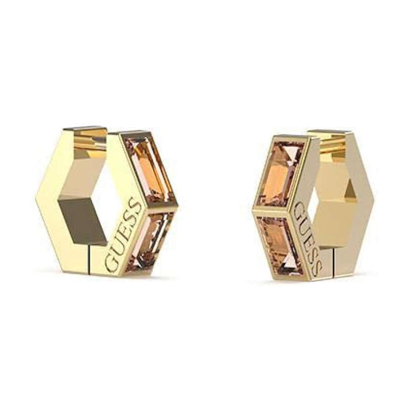 Guess Jewels Women's Earrings (JUBE03133JWYGPETU)
