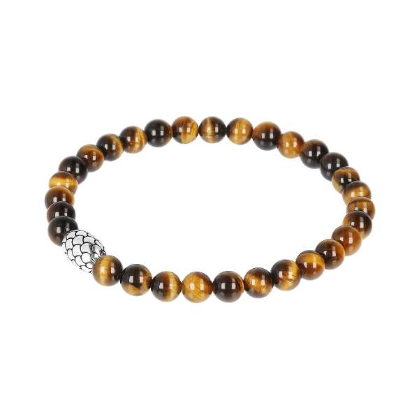 Albert M. Jewels Men's Bracelet (WSOX00135-TIG)