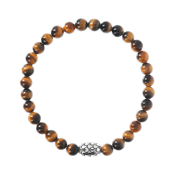 Albert M. Jewels Men's Bracelet (WSOX00135-TIG)