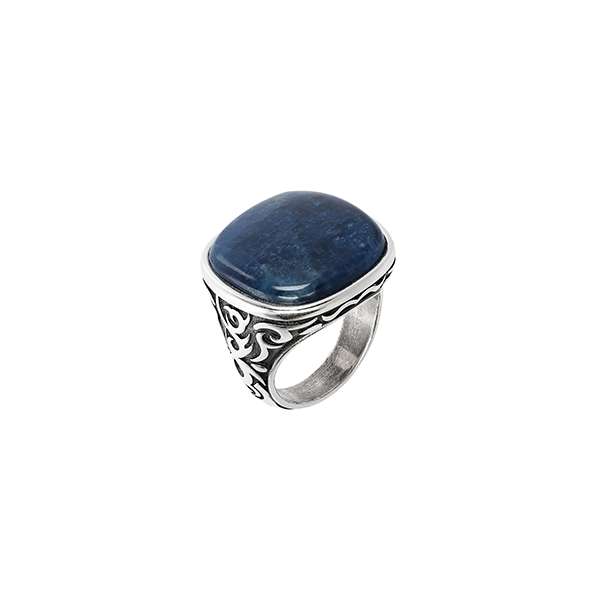 Albert M. Jewels Men's Ring (WSOX00397-AP-22)