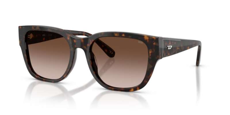 Diesel Dl 2005 (DL 2005_202213_53) Unisex EYEWEAR