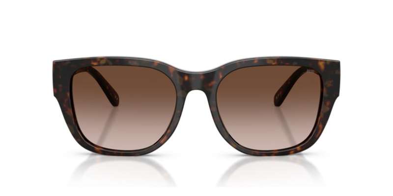 Diesel Dl 2005 (DL 2005_202213_53) Unisex EYEWEAR