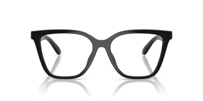 Emporio Armani Ea 4254u With Clip On (EA 4254U WITH CLIP ON_50171W_54) Women's EYEWEAR