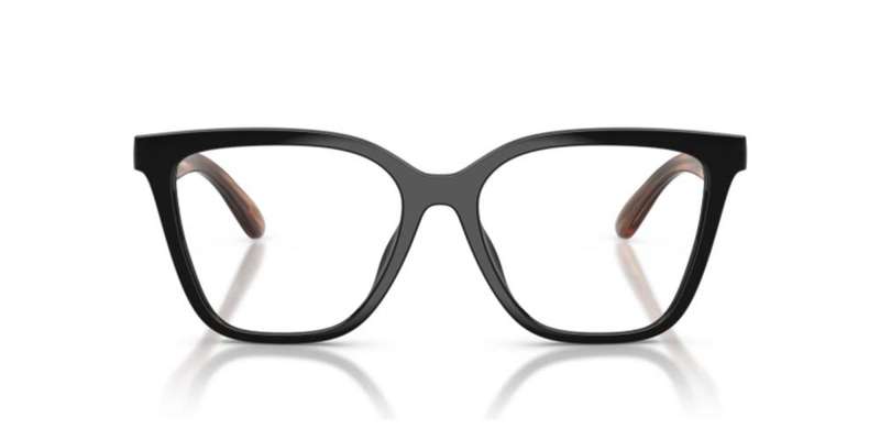 Emporio Armani Ea 4254u With Clip On (EA 4254U WITH CLIP ON_62661W_52) Women's EYEWEAR