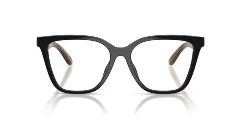 Emporio Armani Ea 4254u With Clip On (EA 4254U WITH CLIP ON_62671W_52) Women's EYEWEAR