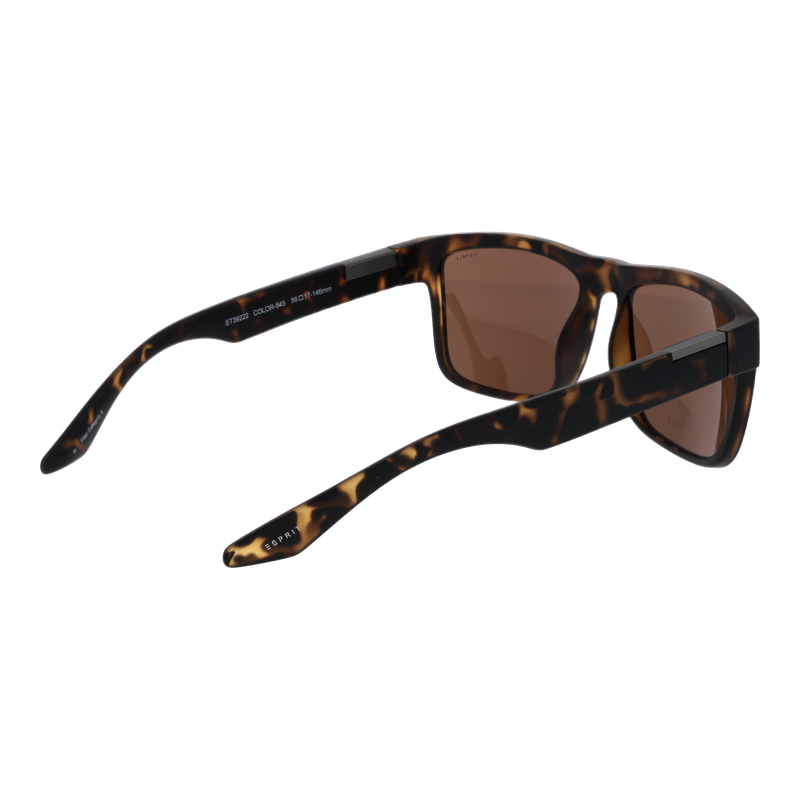 Esprit Eyewear Sunglasses for Men (ET39222 56545)