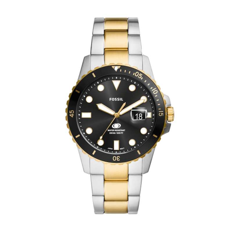Fossil Blue Mens Watch (FS6031)