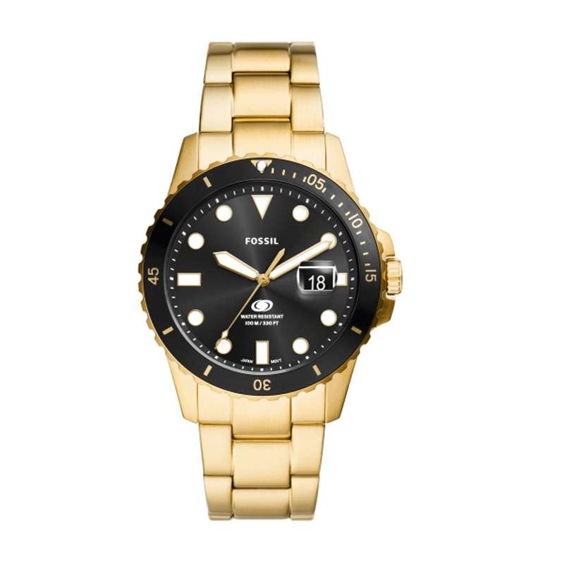Fossil Blue Dive Mens Watch (FS6035)